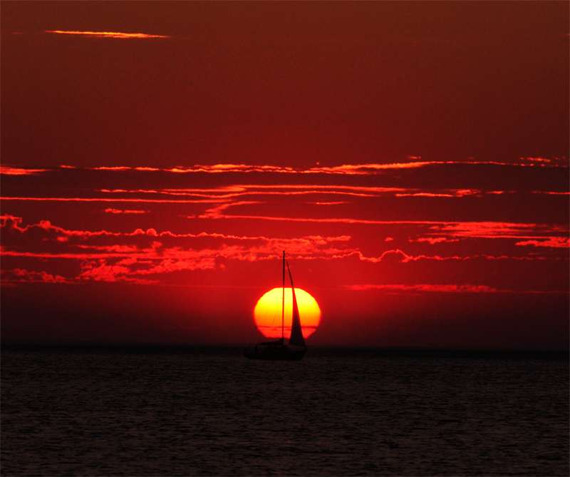 Illustration for article titled 166 Sunrises and Sunsets